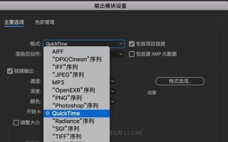 使用AE导出视频文件的详细步骤（掌握AE导出视频文件的技巧，让你的作品更加完美）