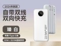 以魅族小米移动电源如何选择？（探索这两款移动电源的性能与价格）