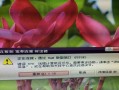 解决电脑上不了网0001错误的方法