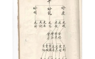电脑制作族谱的方法教程（使用电脑软件轻松创建详细的家族族谱）