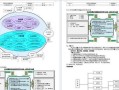 iOS文件管理（掌握iOS文件管理的关键技巧，打造整洁有序的移动工作环境）