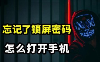 手机解除锁屏密码的教程（通过简单方法忘记密码后轻松解锁手机）