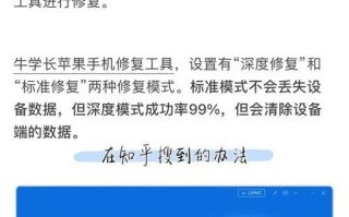 苹果手机刷机解除ID的方法详解（告别限制，轻松解除苹果手机ID锁）