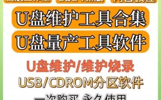 U盘无量产教程（如何利用U盘实现个性化无量产？）