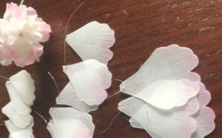 用电脑制作樱花学校的教程（轻松学会用电脑制作樱花学校的教程）