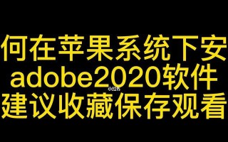 2020系统教程（掌握2020系统的关键技巧，提升工作效率）