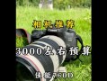 探索佳能760D的性能与功能（一款出色的相机选择）