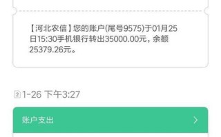 电脑转账提示错误怎么办？（解决电脑转账错误的有效方法）