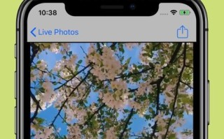 苹果Live循环播放体验（以苹果Live怎么样循环播放为主题的全面评测）