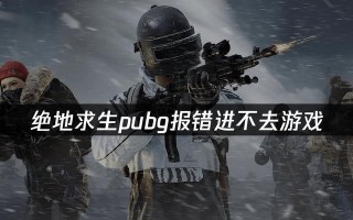电脑游戏显示常见错误解决指南（探索解决电脑游戏显示错误的方法与技巧）