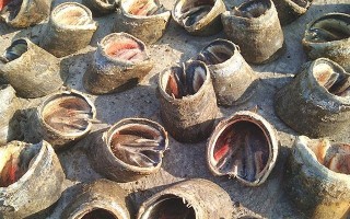 贱驴612蹄子的品质和特点（探究贱驴612蹄子的材料、工艺和使用效果）