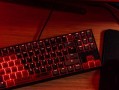 双飞燕血手幽灵键盘（为你打造独一无二的游戏世界）