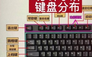 电脑基础常识教程（通过自学电脑基础常识，掌握计算机的奥秘）