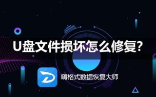 视频无效文件修复方法大揭秘（掌握关键技巧，轻松修复视频无效文件）