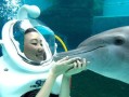 海豚眼中的人类世界（聪明而神秘的海洋使者）