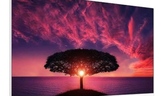 AOC显示器品牌的优势和特点（深入了解AOC显示器的品质与性能）