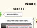 联想小新电脑制作PPT教程（轻松学会利用联想小新电脑制作精美PPT）