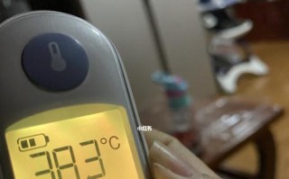 电脑显示体温错误，应如何应对？（解决电脑显示体温错误的方法及注意事项）