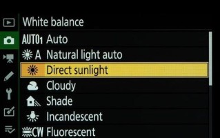 白平衡模式的设置与应用（如何正确调整白平衡，让图像色彩更真实）