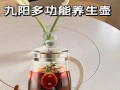 九阳养生壶（智能科技与传统养生相结合，九阳养生壶带来的全新健康体验）