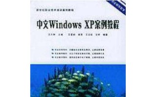 XP系统教程（从零基础到熟练应用，快速成为XP系统高手）