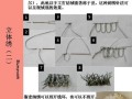 电脑绣花边子整理教程（轻松学会使用电脑绣花机制作精美边子）
