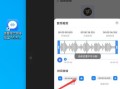 挑选手机录音软件，寻找卓越音质的利器（探索录音软件行业的领军者，获取完美音频记录的关键）