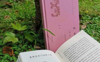 诗歌平板电脑（数字化时代中的文学创作新工具）