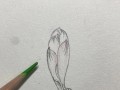 玉雕电脑教学入门教程（掌握玉雕电脑基础知识，轻松上手创作）