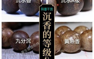 沉香与沉香木（探讨沉香和沉香木的区别及其应用领域）