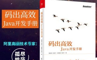高效学习电脑编程的秘诀（掌握编程技能的关键步骤和方法）