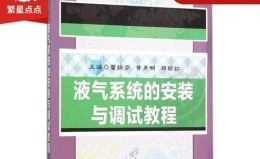 双固态硬盘安装系统教程（通过使用两个固态硬盘快速安装操作系统，提高系统性能）