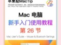 Mac电脑表格使用教程（掌握Mac电脑表格软件的使用方法，让你事半功倍）