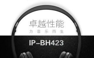以爱谱王运动耳机穿越音乐的时光之旅（领略高品质音乐享受的耳朵艺术）