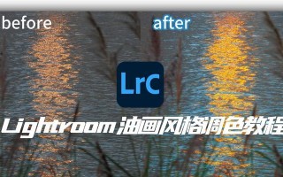 通过电脑LRC调色打造绚丽风景照片（教你如何利用LRC软件调整风景照片色彩，让每一幅都充满魅力）