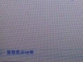 如何解决电脑打字出错问题（有效避免错误字的产生，提高打字准确性）
