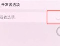 电脑USB调试开关教程（一键切换，保护您的数据安全）
