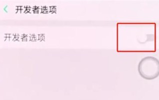电脑USB调试开关教程（一键切换，保护您的数据安全）