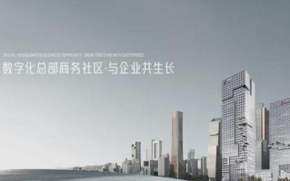 神州数码智慧城市的建设与发展（以科技创新推动城市智慧转型）