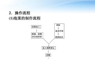 使用PE工具克隆教程（详细指南和技巧助你轻松克隆文件系统）