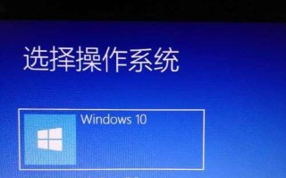 通过大白菜U盘启动更换系统（详细教程与关键步骤）