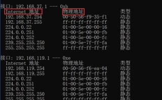 深入了解本机IP地址的命令行查询方法（一键获取本机IP，轻松掌握网络连接状态）