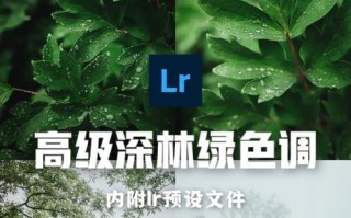 电脑推荐（探索高效调色方案，提升电脑调色体验）