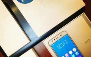 VivoX9Wi-Fi信号稳定性调查（挑战高速网络时代，VivoX9Wi-Fi表现如何？）