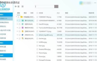电脑资料删除后恢复方法（教你如何恢复已删除的电脑资料）