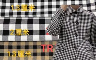 用黑白格面料打造时尚电脑绘制作品（教你如何利用黑白格面料创作独特的电脑绘制作品）