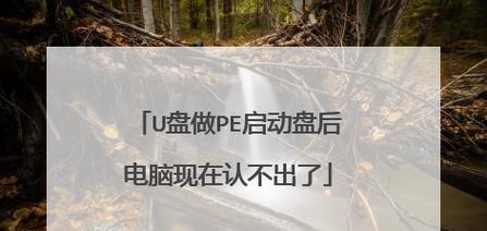 使用U盘启动进PE系统教程（详解U盘启动进PE系统的步骤及技巧）-第3张图片-数码深度