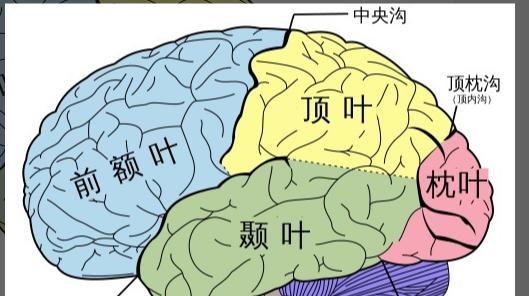 分区表医生使用教程（掌握分区表技术，助力医生高效处理海量数据）-第2张图片-数码深度