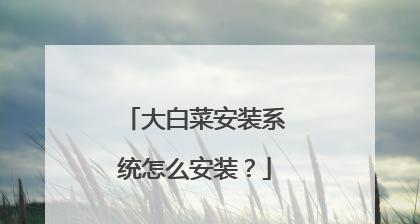 大白菜装机版安装教程（一步一步教你如何使用大白菜装机版安装系统）-第1张图片-数码深度