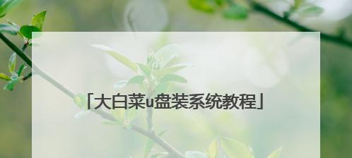 大白菜装机版安装教程（一步一步教你如何使用大白菜装机版安装系统）-第3张图片-数码深度